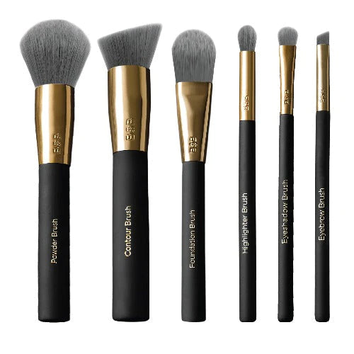 Pro Brush Essentials kit